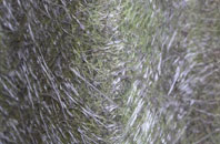 Little Bispham fibreglass roof work